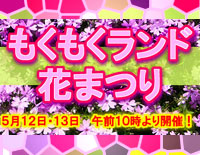 もくもくランド「花まつり」開催！