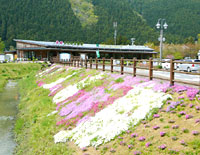 もくもくランド「花まつり」終了のお知らせ